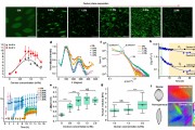 遴选吉林绿纤高科纤维有限公司年产3.5万吨生物质新型人造丝项目高压配电柜