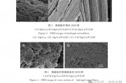 合肥肽库生物：高效的成纤维细胞激活蛋白(FAP)靶向肽，2803421-14-7