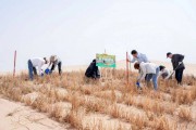 践行绿色低碳生活！常熟市琴川街道开展创意纸袋画活动