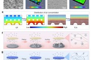 中国生物可溶性陶瓷纤维纱行业动向追踪及前景预测研究报告2024-2030年