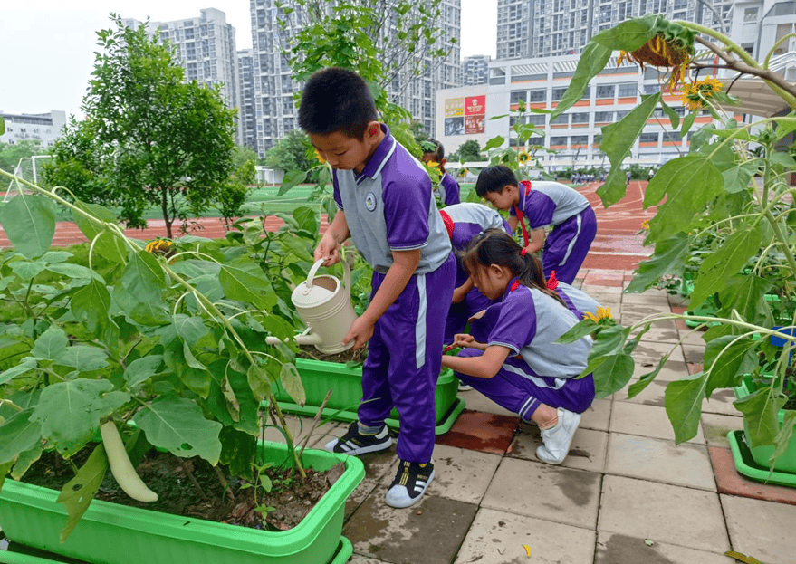 阿城 强化服务意识 优化营商环境