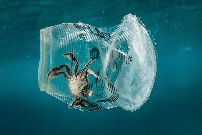 荣晟环保取得一种废塑料热解碳化装置专利，能尽量避免废塑料体积较大，在热解碳化的过程中易出现部分塑料热解不到位等情况