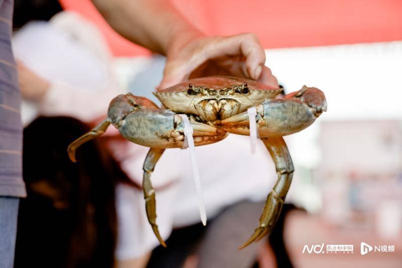 这场发布会上，生态环境部副部长带来一条由废弃塑料瓶制成的丝巾