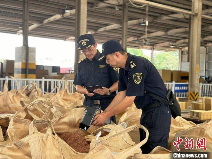 500万彩票官网为什么打开都是合并的-平泽贵金属：钯碳催化剂的循环之旅，从创新制备到高效再生