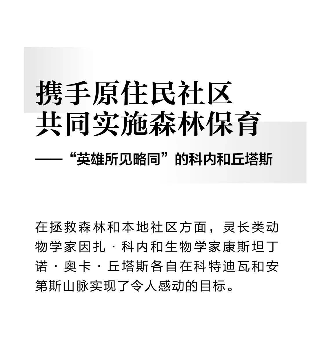 保护红树林，守护地球的“海洋绿肺” —— 7月26日 保护红树林生态系统国际日