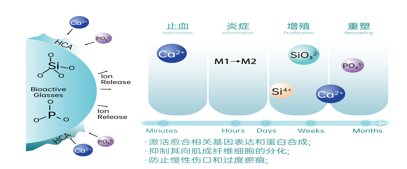 盛帮股份：公司所生产的Sbangpad不属于超高分子量聚乙烯纤维材料