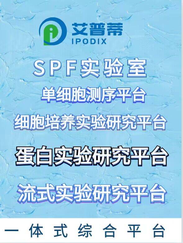 生物工程纳米纤维神经包膜助力他克莫司改善周围神经损伤修复后功能