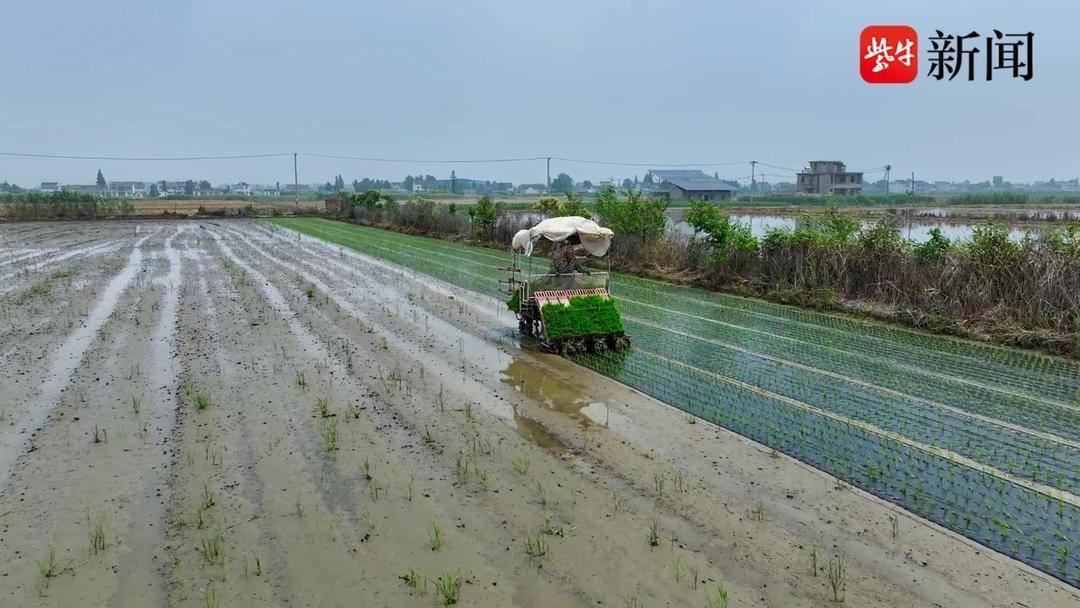 8部门将遴选发布目录 加快绿色技术推广应用