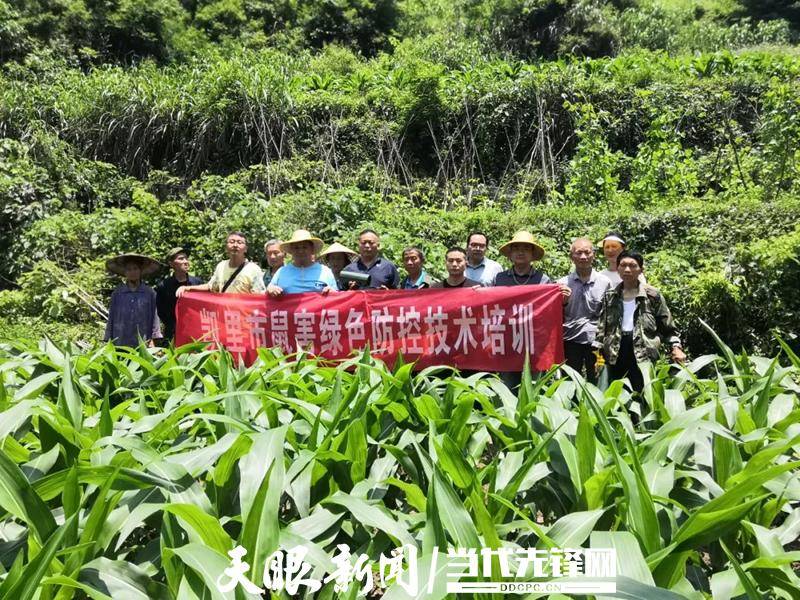 日月股份：公司积极推进绿色运营，运用环保技术减少环境污染，提高资源利用效率，已获得“绿色工厂”认证