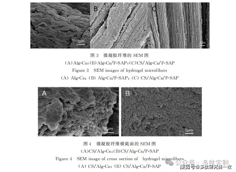 细胞纤维化相关疾病的力学生物学-pavone细胞高通量高内涵力学压痕测试仪