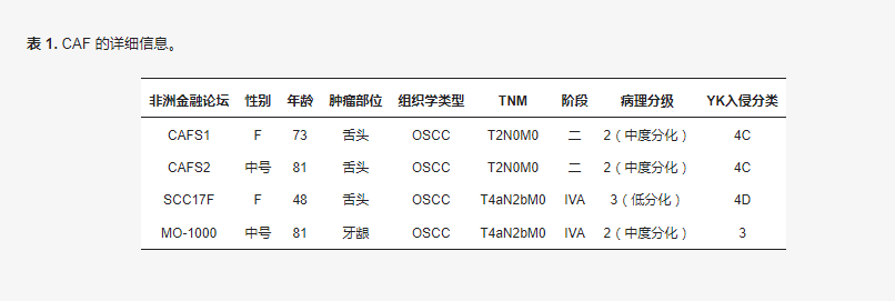 碧水源MBR阵列膜生物反应器PVDF中空纤维膜污水过滤神器mbr平板