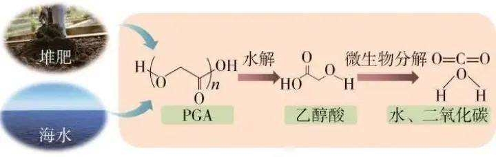 7月3日茶花股份涨停分析：社区团购，优化生育（三孩），可降解塑料概念热股